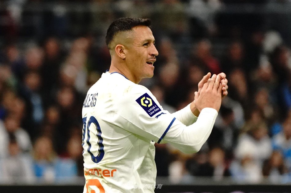 毛球运动员 毛球运动员